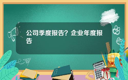 公司季度报告？企业年度报告