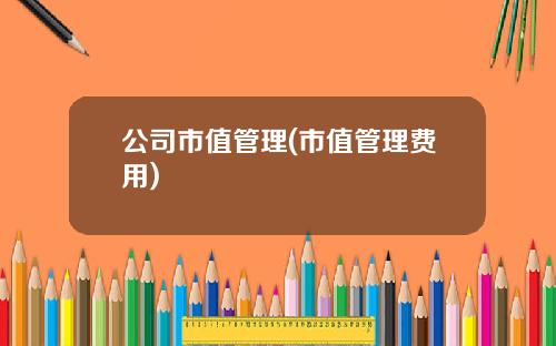 公司市值管理(市值管理费用)