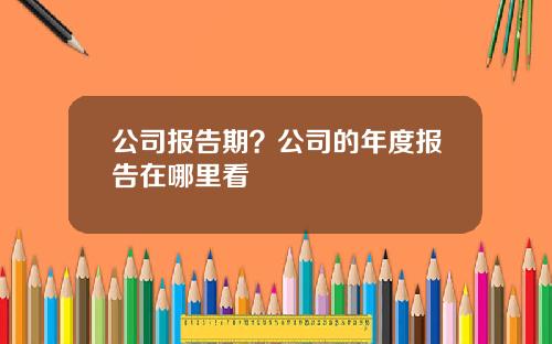 公司报告期？公司的年度报告在哪里看