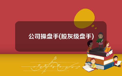 公司操盘手(股灰级盘手)
