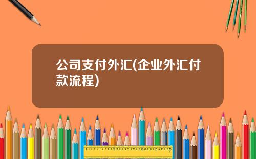 公司支付外汇(企业外汇付款流程) 公司支付外汇(企业外汇付款流程)