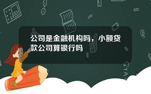 公司是金融机构吗,小额贷款公司算银行吗 公司是金融机构吗,小额贷款公司算银行吗