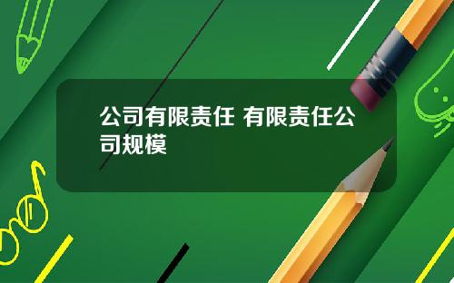 公司有限责任 有限责任公司规模