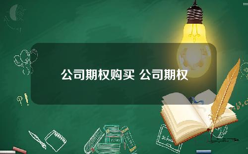 公司期权购买 公司期权