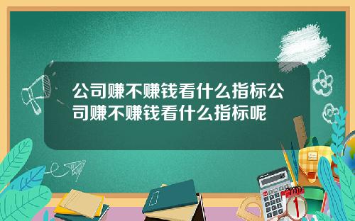 公司赚不赚钱看什么指标公司赚不赚钱看什么指标呢