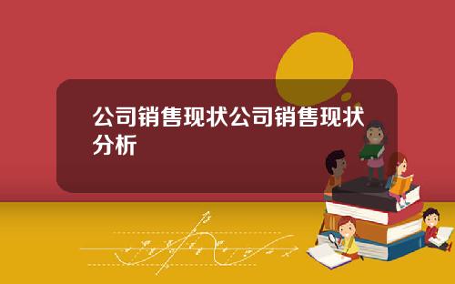 公司销售现状公司销售现状分析