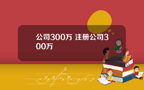 公司300万 注册公司300万