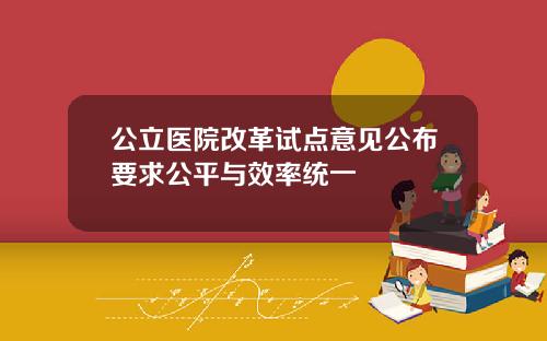 公立医院改革试点意见公布要求公平与效率统一