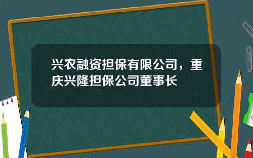 兴农融资担保有限公司，重庆兴隆担保公司董事长