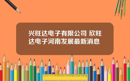 兴旺达电子有限公司 欣旺达电子河南发展最新消息