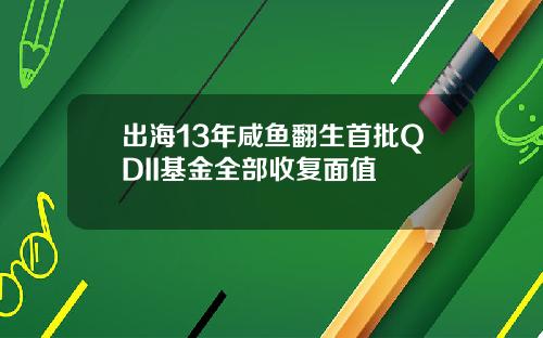 出海13年咸鱼翻生首批QDII基金全部收复面值