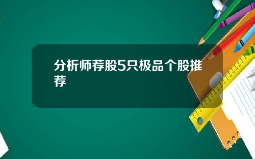 分析师荐股5只极品个股推荐