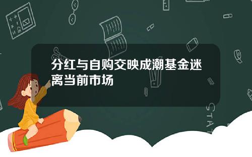 分红与自购交映成潮基金迷离当前市场