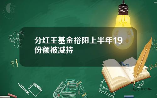 分红王基金裕阳上半年19份额被减持 分红王基金裕阳上半年19份额被减持