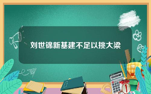 刘世锦新基建不足以挑大梁 刘世锦新基建不足以挑大梁