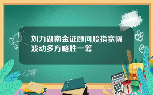 刘力湖南金证顾问股指宽幅波动多方略胜一筹