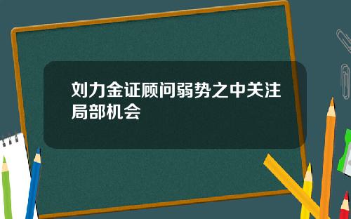 刘力金证顾问弱势之中关注局部机会