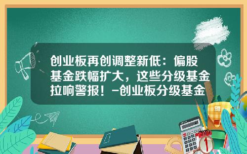 创业板再创调整新低：偏股基金跌幅扩大，这些分级基金拉响警报！-创业板分级基金