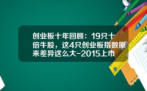 创业板十年回顾：19只十倍牛股，这4只创业板指数原来差异这么大-2015上市公司行业龙头