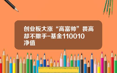 创业板大涨“高富帅”畏高却不撒手-基金110010净值