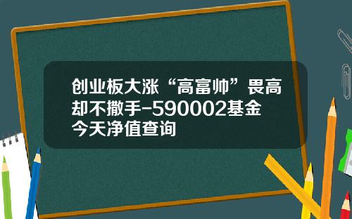 创业板大涨“高富帅”畏高却不撒手-590002基金今天净值查询