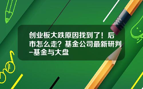 创业板大跌原因找到了！后市怎么走？基金公司最新研判-基金与大盘