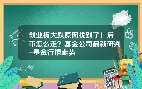创业板大跌原因找到了！后市怎么走？基金公司最新研判-基金行情走势