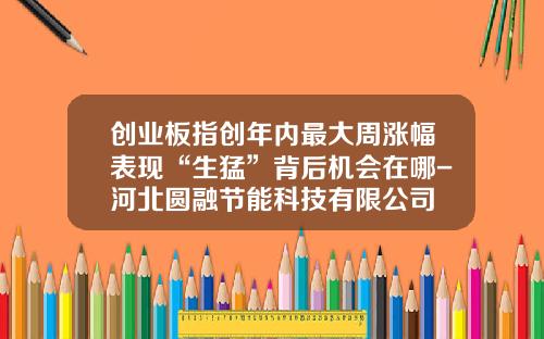 创业板指创年内最大周涨幅表现“生猛”背后机会在哪-河北圆融节能科技有限公司