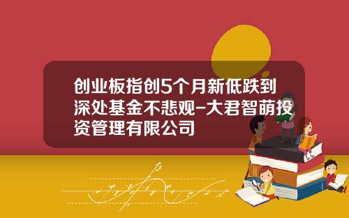 创业板指创5个月新低跌到深处基金不悲观-大君智萌投资管理有限公司