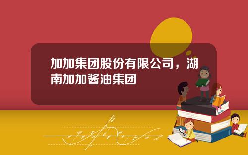 加加集团股份有限公司，湖南加加酱油集团