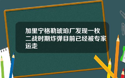 加里宁格勒琥珀厂发现一枚二战时期炸弹目前已经被专家运走