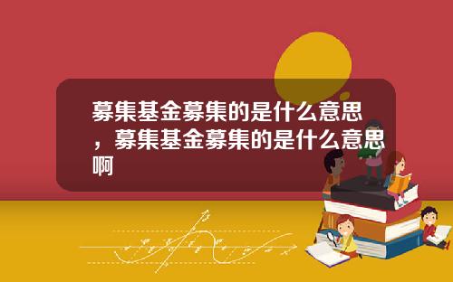 募集基金募集的是什么意思，募集基金募集的是什么意思啊