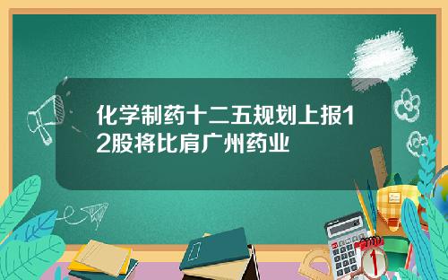 化学制药十二五规划上报12股将比肩广州药业