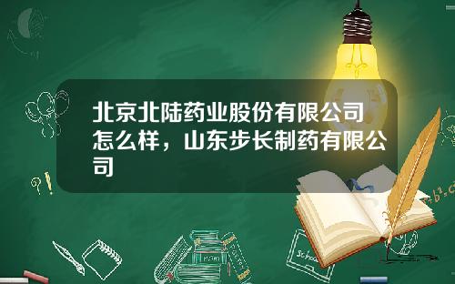 北京北陆药业股份有限公司怎么样，山东步长制药有限公司