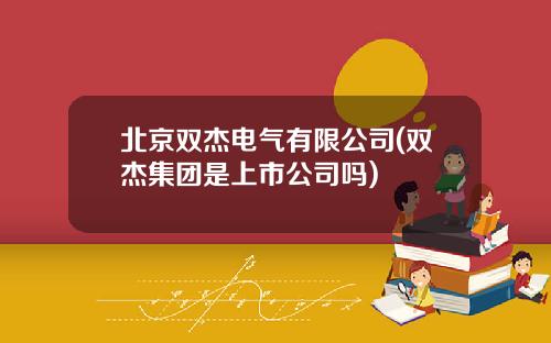 北京双杰电气有限公司(双杰集团是上市公司吗)