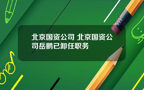 北京国资公司 北京国资公司岳鹏已卸任职务