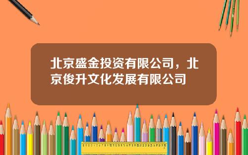 北京盛金投资有限公司，北京俊升文化发展有限公司
