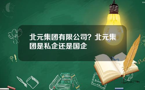 北元集团有限公司？北元集团是私企还是国企