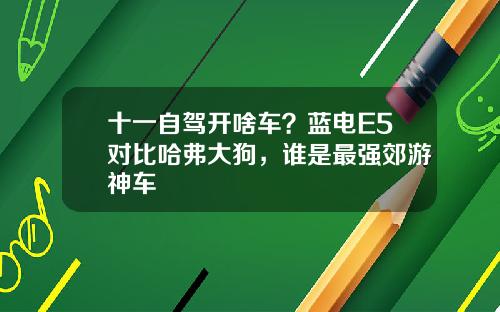十一自驾开啥车？蓝电E5对比哈弗大狗，谁是最强郊游神车