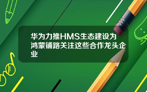 华为力推HMS生态建设为鸿蒙铺路关注这些合作龙头企业