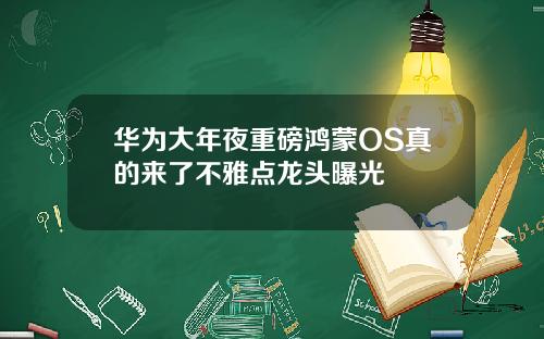 华为大年夜重磅鸿蒙OS真的来了不雅点龙头曝光