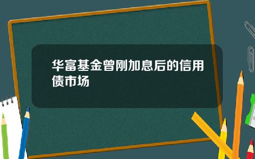 华富基金曾刚加息后的信用债市场