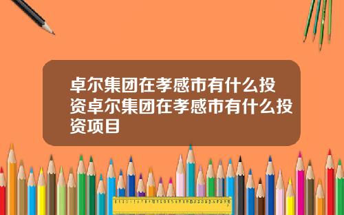 卓尔集团在孝感市有什么投资卓尔集团在孝感市有什么投资项目