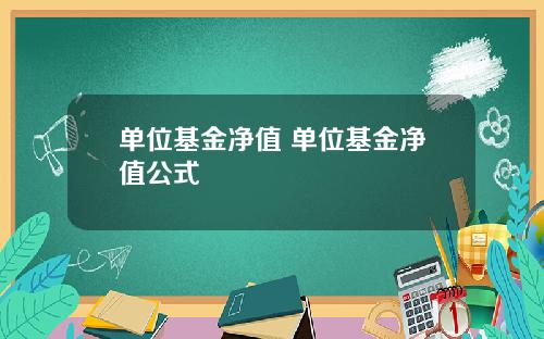 单位基金净值 单位基金净值公式