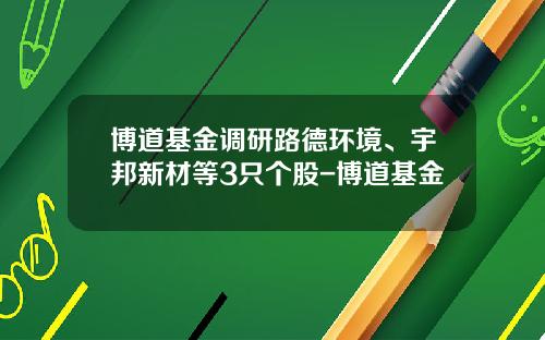 博道基金调研路德环境、宇邦新材等3只个股-博道基金