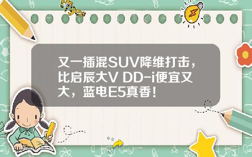 又一插混SUV降维打击，比启辰大V DD-i便宜又大，蓝电E5真香！