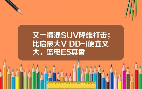 又一插混SUV降维打击；比启辰大V DD-i便宜又大，蓝电E5真香