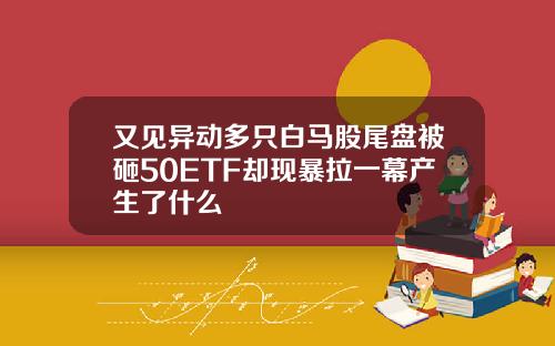 又见异动多只白马股尾盘被砸50ETF却现暴拉一幕产生了什么