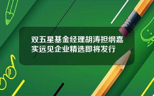双五星基金经理胡涛担纲嘉实远见企业精选即将发行
