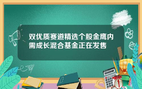 双优质赛道精选个股金鹰内需成长混合基金正在发售